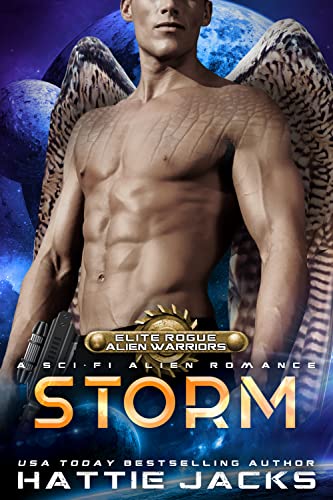 Cover of Storm by Hattie Jacks