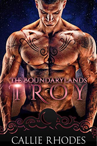Cover of Troy by Callie Rhodes