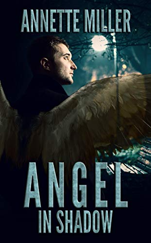 Cover of Angel in Shadow by Annette Miller