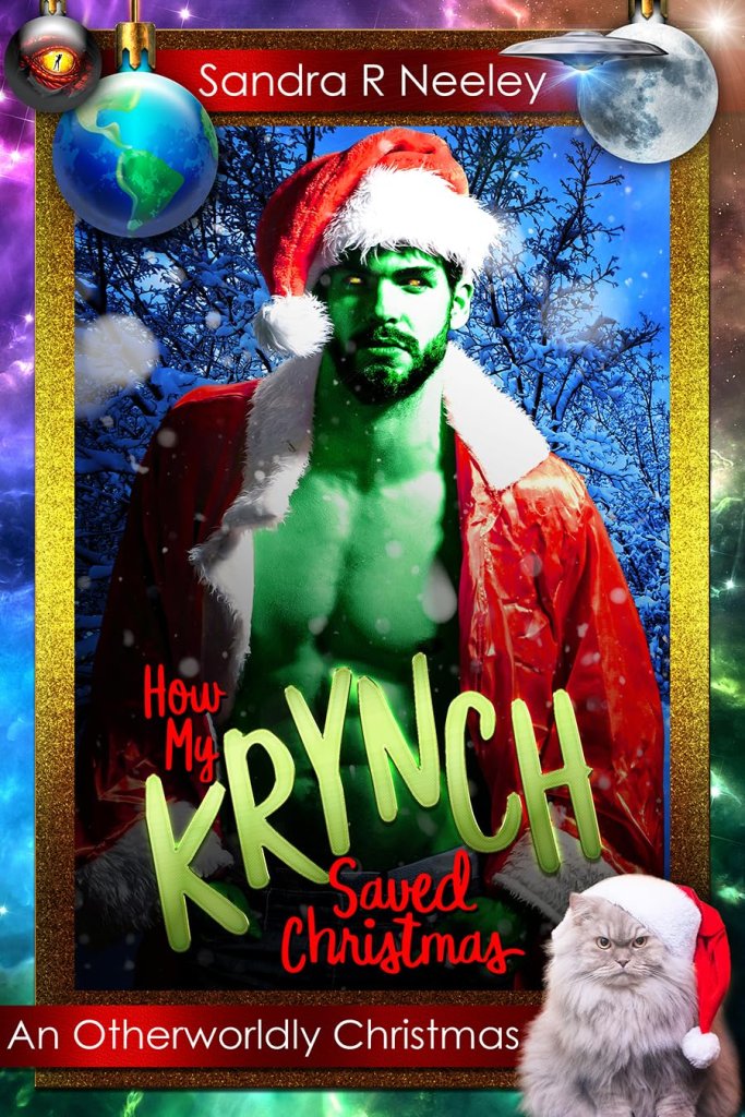 Cover of How My Krynch Saved Christmas by Sandra R Neeley